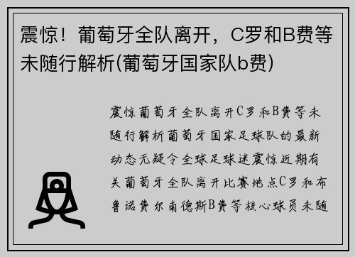震惊！葡萄牙全队离开，C罗和B费等未随行解析(葡萄牙国家队b费)